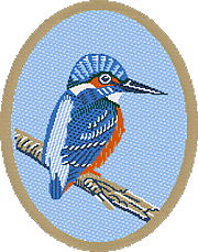 Kingfisher Simulation