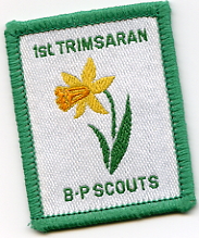 Scout Troop Badge